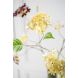 Гортензія, гілка, кремово-зелена, 99 см Silk-ka 160479