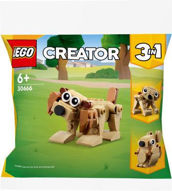 Конструктор LEGO Creator Подарункові тварини 30666