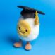 Мягкая игрушка Смешное вареное яйцо Выпускник Jellycat A6BEGR