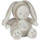 Мягкая игрушка Мишка в капюшоне, 20 см, 0+ Nicotoy 5793849