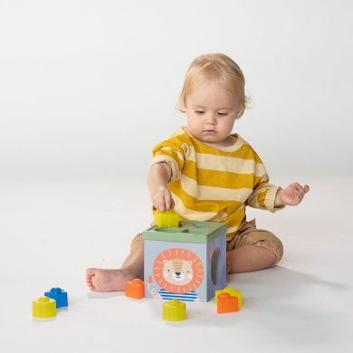 Розвиваючий сортер-пірамідка колекції Саванна Кубики Африка Taf Toys 12725
