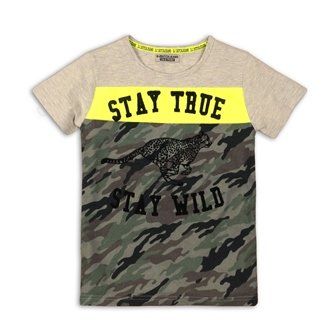 Футболка дитяча DJ Dutchjeans 110 Сірий 45C-34184