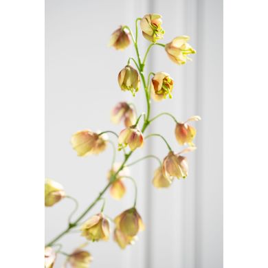 Фрітілярія, гілка, коричнево-зелена, 111 см Silk-ka 160470