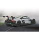 Автомобиль на радиоуправлении Audi R8 LMS Performance 2015 1:14 серебристый 40 МГц Rastar Jamara 405099