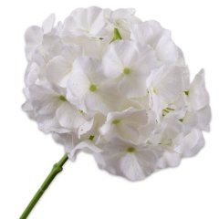 Гортензія, стебло, біла, 75 см Silk-ka 161030