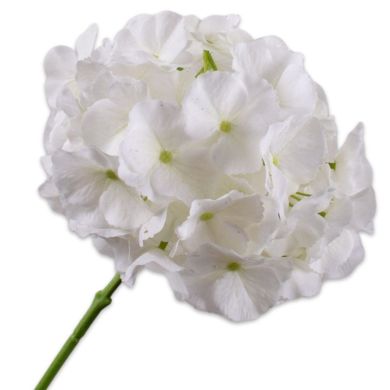 Гортензія, стебло, біла, 75 см Silk-ka 161030