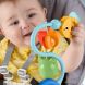Игрушка на присоске Лягушка и пчелка Fisher-Price JHB46