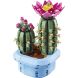 Конструктор LEGO Botanicals Цвітіння кактуса 11509