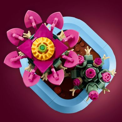 Конструктор LEGO Botanicals Цвітіння кактуса 11509
