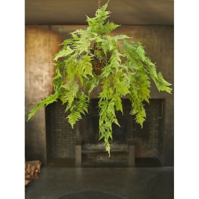 Квітка штучна Аспарагус підвісний зелений 109 см Silk-ka 129092
