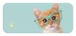 Пенал Studio Pets Кошеня бірюзовий 6918