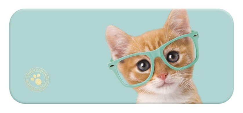 Пенал Studio Pets Котенок бирюзовый 6918
