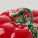 Маслянка з кришкою Tomato Bordallo Pinheiro 20х12 см 65007111
