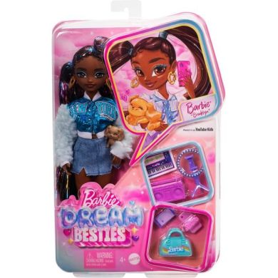 Кукла Barbie Бруклин Dream Besties HYC22