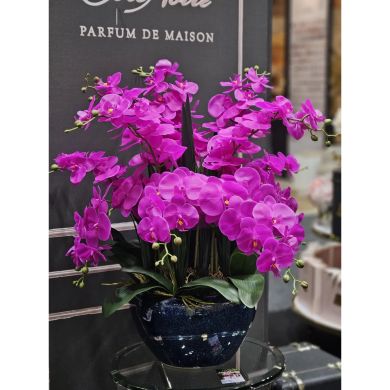 Аромат для дома Большая Люкс Орхидея Fuchsia в керамическом весе Cote noire GO09