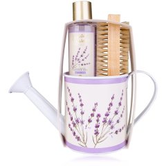 Набір для ванни ESSENTIAL BOTANICS CLASSICS 300 мл : 100 мл гель для душу, щітка для нігтів, дизайн/а ACCENTRA 6055921 4015953675898