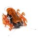 Нано-робот Hexbug Fire Ant на инфрокрасном управлении в ассортименте 477-2864