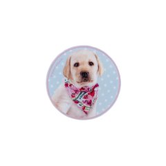 Бейдж на липучке 3011-2 Studio Pets SP24-3011-2