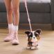 Інтерактивна іграшка FURREAL серії Walk-A-Lots БЕРНЕДУДЕЛЬ 28056