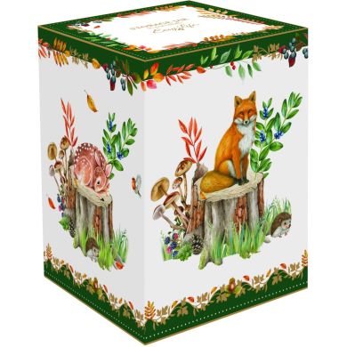 Банка з кришкою з порцеляни Ø11x16h см в коробці FOREST DREAM POZZI MILANO 1645FOD, 16