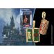 Підвіска Квіддічна скриня The Noble Collection Гаррі Поттер NN1035