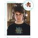 Пазл Hard-M Гаррі Поттер Портрет Гаррі Dodo 200576