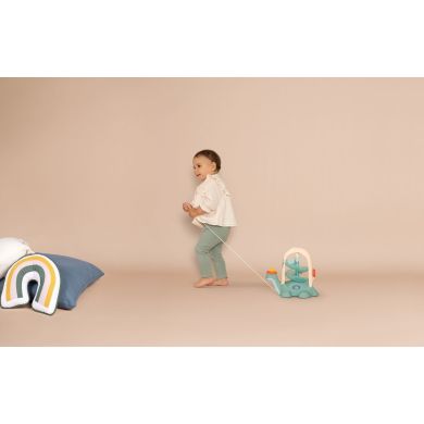 Іграшка для розвитку Smoby Little 2 в 1 Черепашка, 28x20x29 см, 12 міс. + SMOBY 140310