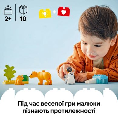 Конструктор Сімейства диких тварин: Пінгвіни та Леви LEGO DUPLO Town 10442