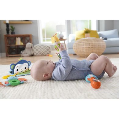 Подарунковий ігровий набір Веселі розваги (3 міс.+) Fisher-Price HFJ92