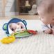 Подарунковий ігровий набір Веселі розваги (3 міс.+) Fisher-Price HFJ92