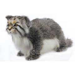 Мягкая игрушка Hansa Кот палласов, стоящий 30 см 7077