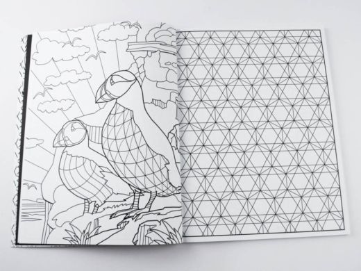 Супернова суперова розмальовка Грант Нік 273974
