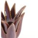 Подсвечник &Oslash;11,5x11,5 см CACTUS керамика темно-фиолетовый Light&Living 6061587