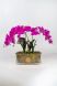 Аромат для дома Орхидея Fuchsia в вазе OVAL Cote noire OOV09