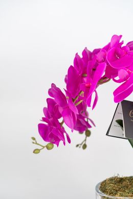 Аромат для дома Орхидея Fuchsia в вазе OVAL Cote noire OOV09