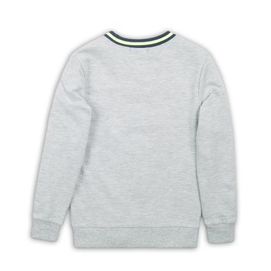 Джемпер дитячий на хлопчика DJ Dutchjeans 122 Сірий D36174-45