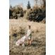 Коляска Baby Nurse Рожева пудра. Прогулянка, з корзиною, 18міс.+ 254018