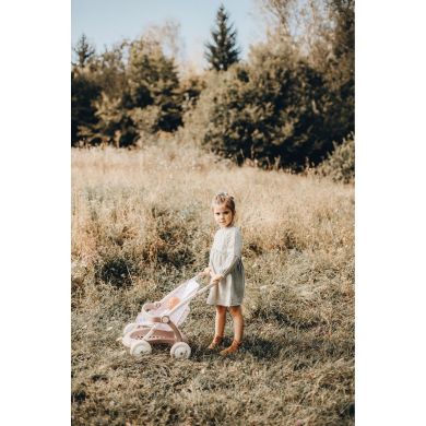 Коляска Baby Nurse Рожева пудра. Прогулянка, з корзиною, 18міс.+ 254018