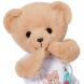 М'яка іграшка BABY BORN ВЕДМЕДИК ТЕДДІ 834435