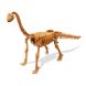 Набір Розкопок Dino Kit Брахіозавр BUKI FRANCE 439BRA