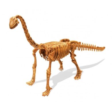Набір Розкопок Dino Kit Брахіозавр BUKI FRANCE 439BRA