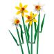 Конструктор Нарциси LEGO Botanicals 40747