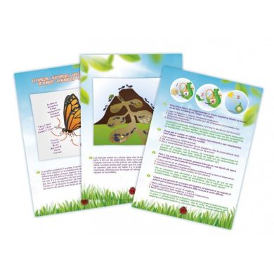 Набор натуралиста Edu-Toys Комплект 5 в 1 BL033