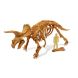 Набір Розкопок Dino Kit Трицератопс BUKI FRANCE 439TRI