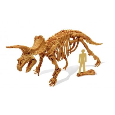 Набір Розкопок Dino Kit Трицератопс BUKI FRANCE 439TRI