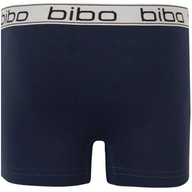 Трусы для мальчика Bibo боксерки арт. 24047 г. 92 Синий