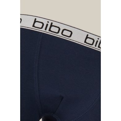Трусы для мальчика Bibo боксерки арт. 24047 г. 92 Синий