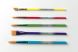 Набір пензликів, 5 шт Crayola 256244.012