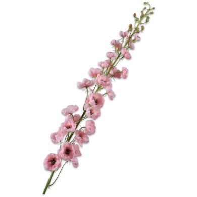 Дельфініум, стебло, рожевий, 127 см Silk-ka 160161