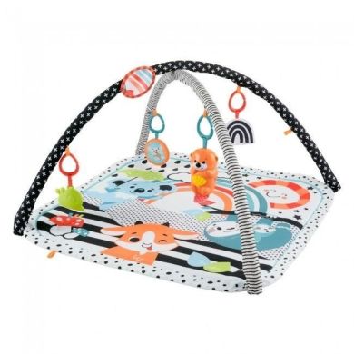 Килимок-ігровий центр 3-в-1 Веселі розваги Fisher-Price JMN72